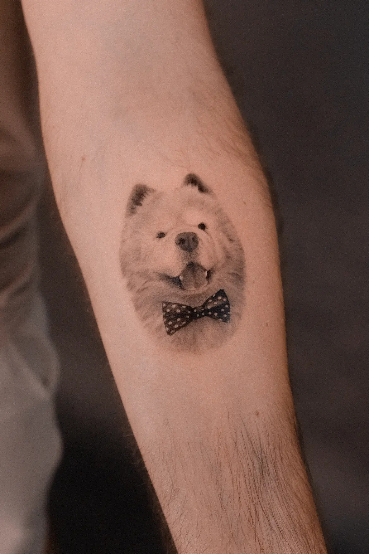 Microrealistic dog portrait tattoo with a bow tie